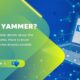what is Yammer